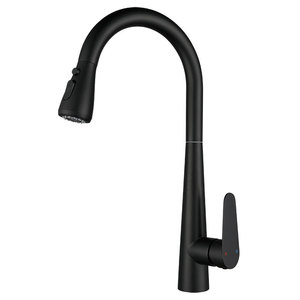 Modern Classic Stainless Steel Single Handle Deck Mounted Kitchen Faucet Hot Cold Dual Mode <strong>Pull</strong> <strong>Sprayer</strong> 360 Degree Kitchen - Product Image 2