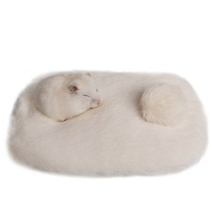 Kissen für Hamster Haustier betten Arctic Wool und Thermal Cotton Pads für kleine Haustiere wie Igel Drachen Mäuse und Kaninchen - Product Image 1