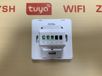 Interruptor Inteligente de Pared TYSH con Estándar Europeo, Compatible con WiFi y Zigbee, 16A, para Hogar Inteligente