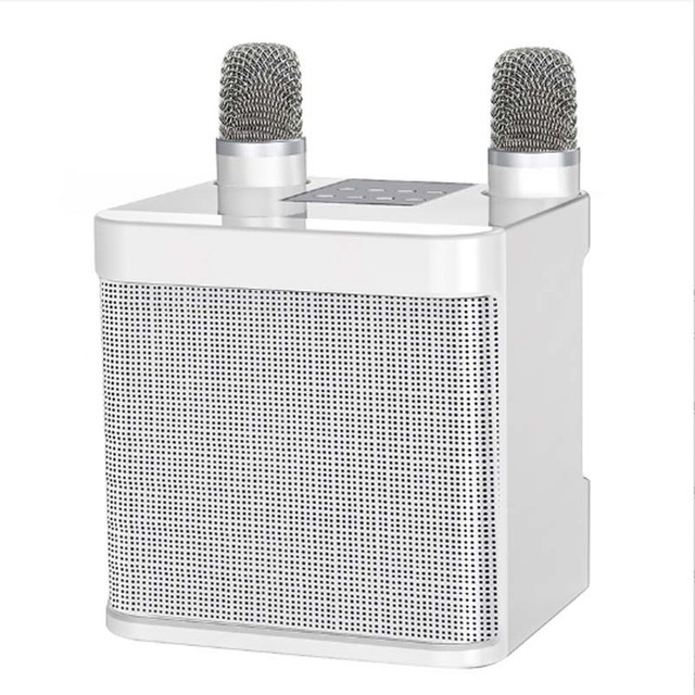 Dual Microphone Karaoke Machine for Adults and Kids Portable BT Speaker System with 2 Wireless Mics for Home