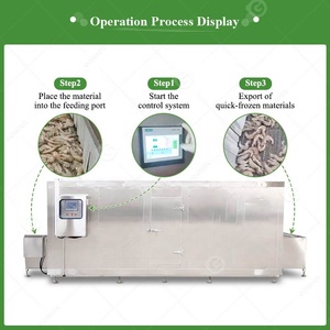 Nitơ lỏng xoắn ốc thiết bị tôm Dâu Tây Đường hầm iqf Blast Máy làm lạnh Tủ đông dòng hoàn chỉnh cho shocs - Product Image 4