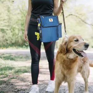 Pet Master transporte facilement une pochette d'entraînement pour friandises pour chiens Voyage en plein air Sac de nourriture pour animaux de compagnie