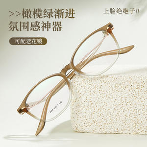 Montures de lunettes papillon Danyang pour femmes 2655, monture ovale complète, tendance mode, verres en résine, branches en alliage - Product Image 4