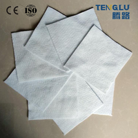 Géotextile non tissé multifonctionnel en PP/PET 300g-800g pour la protection côtière, le drainage des talus et la remise en état des terres