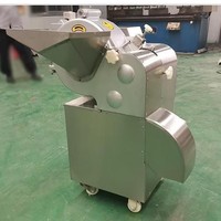 All-in-one industriële 3D-snijmachine voor groenten & fruit: snijdt, raspt en dooit in blokjes, met hoge efficiëntie en precisie