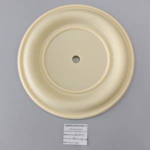 Diaphragmes en PTFE <span class=keywords><strong>LIQUADE</strong></span> 288.02*19.74*11.4mm Stock disponible utilisé pour les accessoires de pompe à membrane pneumatique - Product Image 2