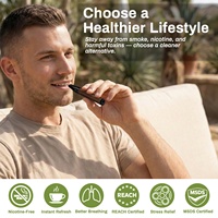 Bâtonnet Inhalateur d'Aromathérapie en Bois de Noyer Argenté, Lavande, Débit d'Air Réglable, Embout Plat, Rechargeable, Huile Essentielle, Sommeil et Détente