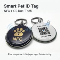 Etiquetas de Identificación para Mascotas Resistentes al Agua, Mini, de PVC/Epoxi/Silicona, Etiquetas de Identificación para Perros Deslizables, Cuadradas, con Dos Orificios, Etiqueta de Identificación para Perro en Blanco, Llavero a Juego
