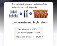 Distributeur d'eau personnalisé pour boissons gazeuses Homeuse Soda Sparkling Maker Machine