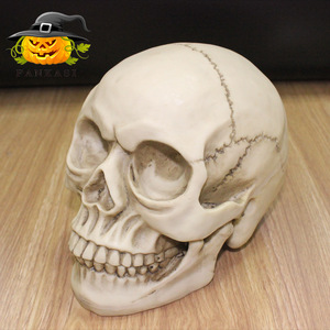 Modèle de crâne adulte réaliste en résine à l'échelle 1:1 pour Halloween, reproduction artistique médicale pour la décoration de salle d'évasion - Product Image 1