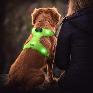 Arnés para mascotas recargable por USB iluminado Flashseen LED Arnés para perros Chaleco para perros brillante reflectante iluminado - Product Image 3