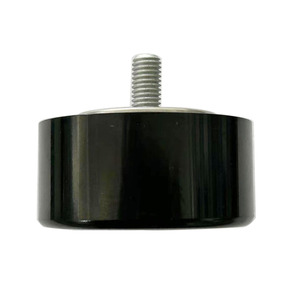 Tensor de Correa Ajustable de Alta Calidad con Rodamiento, Número OE 11925BB00A - Product Image 2