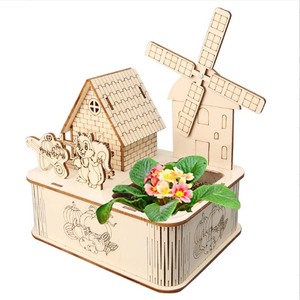 Diy scienza educativa esplorare giocattolo piccola produzione materiali sperimentali in legno fioriera pianta giardino - Product Image 5