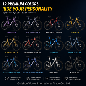 Bicicleta de Carretera Wowei SK02, Completamente de Carbono, 12 Velocidades, Frenos de Disco Hidráulicos Shimano Ultegra Di2, Ruedas de 28 Pulgadas, Ligera, Aerodinámica, para Carreras - Product Image 6