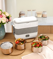 Boîte à lunch multifonction pour fabricants, chauffante, isolante, à brancher, pour cuisson vapeur, conteneur alimentaire électrique thermique mini