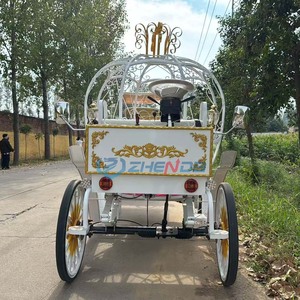 Nouvelle Carrosse de Mariage Cendrillon Populaire en Métal en Forme de Citrouille Électrique/à Chevaux 6 Places Couleur Personnalisable 3.8x1.65x2.3m - Product Image 3