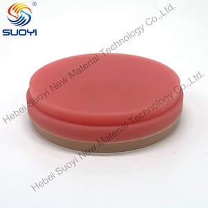 Cakram Monolayer <span class=keywords><strong>Dental</strong></span> Pmma multilapis, masker kosong Pmma blok untuk penggunaan Lab gigi 98 85 <span class=keywords><strong>AG</strong></span> - Product Image 6