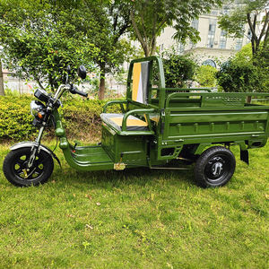 Triciclo eléctrico Camión de carga Triciclos eléctricos Scooter de movilidad Triciclo de movilidad resistente - Product Image 5