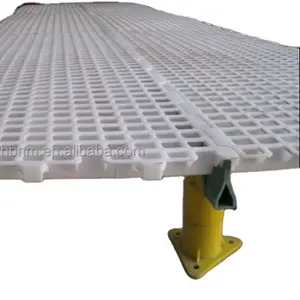 chicken house plastic raised floor system