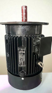 Motor Eléctrico Industrial de Montaje Vertical con Brida, de Inducción de Servicio Pesado con Eje de Accionamiento Superior para Aplicaciones en Fábricas - Product Image 3