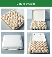 RAYBO Barquette à œufs personnalisée 10 alvéoles en papier recyclé, pulpe de bagasse jetable, emballage compostable et biodégradable, impression d'emballages