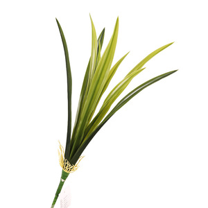 Hojas de Orquídea Artificiales QIHAO 57017, Alta Simulación, Decoración para el Hogar, Material de Película Verde - Product Image 5