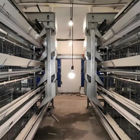 Cage à poules pondeuses de type H entièrement automatique pour une aviculture efficace