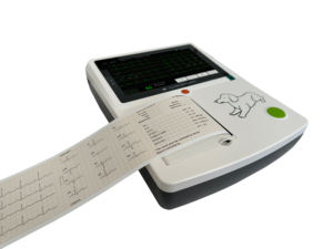Equipo veterinario portátil digital de 3 canales ECG/EKG de 12 derivaciones para diagnóstico canino para perros y Mascotas - Product Image 4