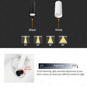 Fil de suspension exposé LED <span class=keywords><strong>suspendu</strong></span> Downlight cylindrique Simple Restaurant bureau couloir <span class=keywords><strong>plafond</strong></span> <span class=keywords><strong>suspendu</strong></span> LED lumières vers le bas - Product Image 4