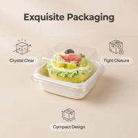 Boîte à Tiramisu avec couvercle transparent carré, emballage personnalisé en plastique PET transparent, boîte d'emballage pour Tiramisu coupé en morceaux, pour aliments