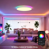 Bande lumineuse LED infrarouge RGBW à intensité variable avec Bluetooth, télécommande IR DC5V 1M pour la maison et la télévision