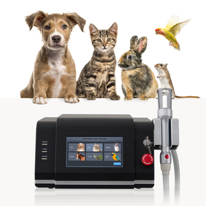 Máquina <span class=keywords><strong>de</strong></span> Terapia Láser Veterinaria <span class=keywords><strong>de</strong></span> Clase 4 <span class=keywords><strong>de</strong></span> 980nm y 810nm para el Manejo del Dolor en Gatos y Perros, Curación <span class=keywords><strong>de</strong></span> Heridas - Product Image 4