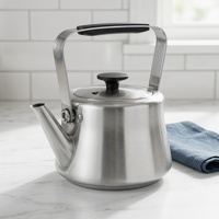 Bouilloire à thé portable en acier inoxydable brossé mat 1,5/2/3L, sans sifflet, avec poignée froide au toucher, pour cuisinières à induction et à gaz