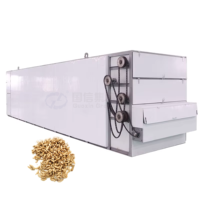 Continue Sliver Mesh Belt Droger voor Voedselverwerking, Hoge Kwaliteit Insecten- en Vlieglarven Droogapparatuur met Motor, Hoge Capaciteit