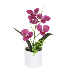 Phalaenopsis Bonsai colorato simulato artificiale vaso pianta nuova 5 farfalla orchidea simulazione ceramica decorazione casa ufficio - Product Image 5
