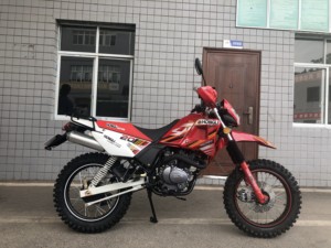 Speedo puissant <span class=keywords><strong>moteur</strong></span> rue légale dirt moto vig rx SURF250GY pas cher importation 200cc <span class=keywords><strong>CRF</strong></span> <span class=keywords><strong>250</strong></span> personnalisé OEM dirtbike 250cc - Product Image 4