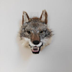 Cabeza de <span class=keywords><strong>lobo</strong></span> realista de tamaño natural, decoración de pared, trofeo de animal con piel para decoración de <span class=keywords><strong>la</strong></span> cabaña <span class=keywords><strong>del</strong></span> hombre, accesorios de películas de terror, regalos de caza - Product Image 4