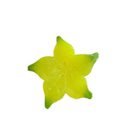 Jouet Squishy Ultra-réaliste en Caoutchouc Anti-stress en Forme de Pomme et de Kaki, Sac Adhésif à Rebond Lent pour une Texture Parfaite