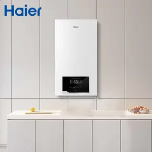 China Factory Haier Hot Sale Top Quality Stainless Steel Dhw Natural Gas Heating Hot Water Boilers