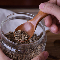 Gadgets de cuisine en vrac Mini cuillères en bois petite cuisine épices Condiment cuillère sucre thé café cuillère à café manche court cuillère en bois pour enfants