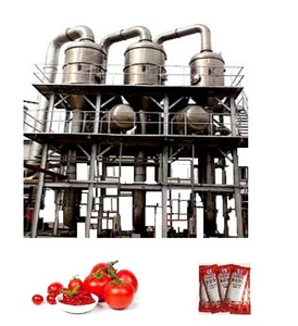 Proyecto Llave en Mano: Máquina para Puré de Tomate y Ketchup, Línea Completa de Producción de Pasta de Tomate - Product Image 1