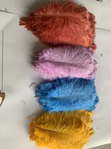 Plumes d'autruche bon marché teintées en différentes couleurs, bricolage écologique, décoration de plumes d'autruche pour la décoration de la maison