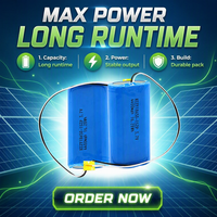 Paket Baterai Lithium Ion 18650 Langsung dari Pabrik 3.7V 4400mAh Dapat Diisi Ulang Bersertifikasi CE 500 Siklus Dapat Disesuaikan Katoda LiCoO2