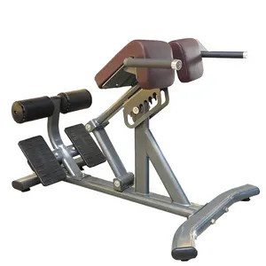 LongGlory عالية الجودة معدات اللياقة البدنية التجارية الخلفي التمديد رياضة مقاعد البدلاء