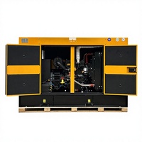 Generador Eléctrico Diésel Insonorizado Confiable de 25kw, 30kw, 40kw para Generación de Energía de Respaldo