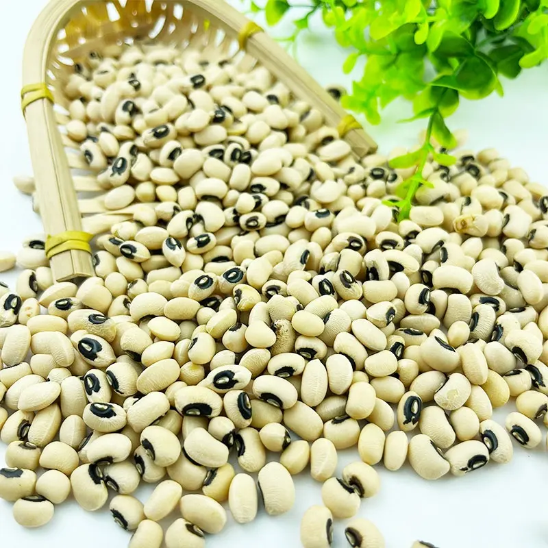 Neue Ernte Getrocknete weiße Cowpea-Vigna-Bohnen Black Eye Beans