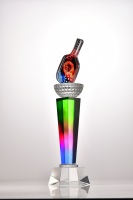 Trophées en cristal gravés au laser sur mesure avec options de personnalisation pour les événements sportifs