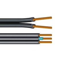 SPT SPT-1 SPT-2 und SPT-3 elektrische flexible Lampe Draht Spt-1w SPT-2W PVC-Isolierung 16awg 2 3-adriges flaches Stromkabel im Freien