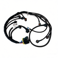 Arnés de Cableado de Inyección de Combustible para Motor, ODM OEM