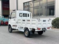 Mini camion électrique de livraison, durable et fiable pour la livraison quotidienne de nourriture